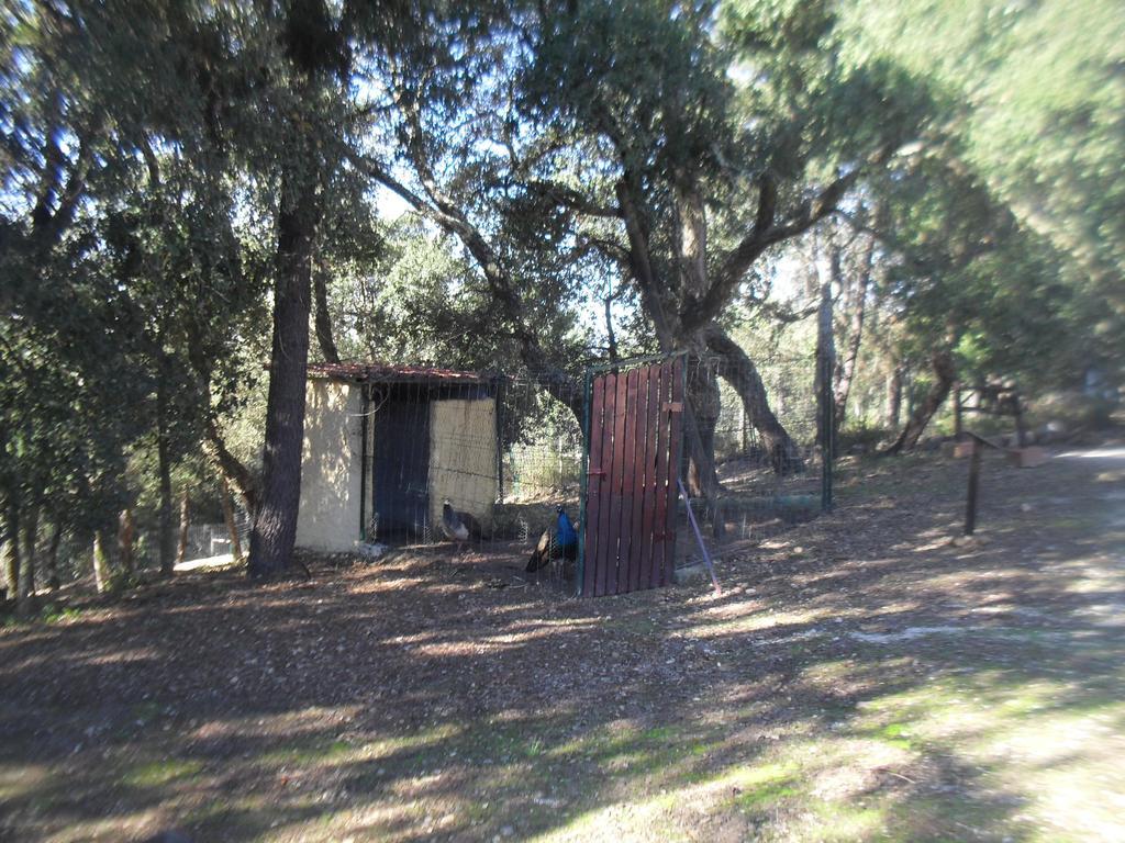 コンスタンシア Quinta Do Outeiro Altoヴィラ エクステリア 写真
