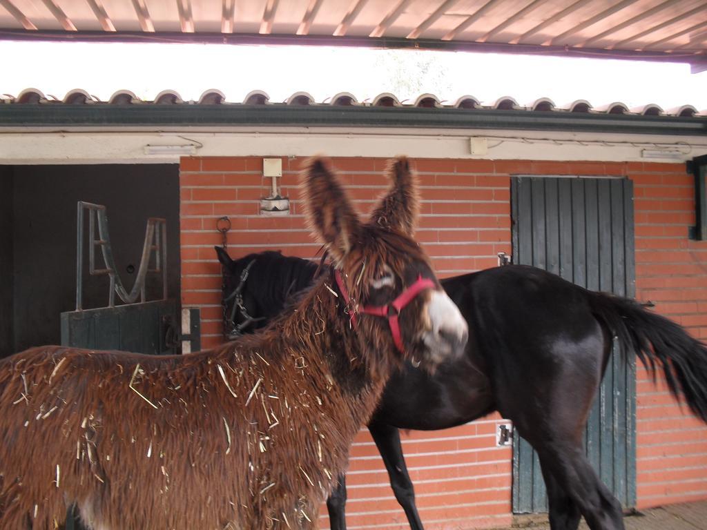 コンスタンシア Quinta Do Outeiro Altoヴィラ エクステリア 写真
