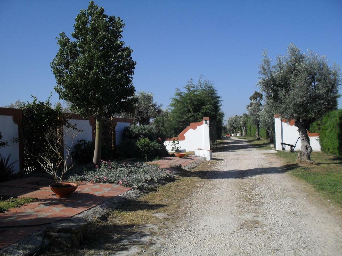 コンスタンシア Quinta Do Outeiro Altoヴィラ エクステリア 写真
